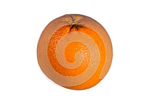 One orange fruit isolated on a white background