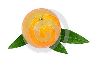 One Orange Fruit isolated on white
