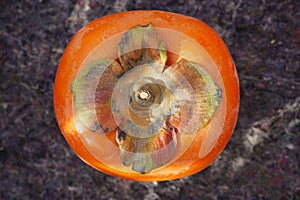 One Orange persimmon fruit with dark background