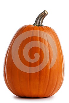 One orange pumpkin