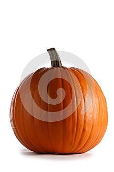 One orange pumpkin