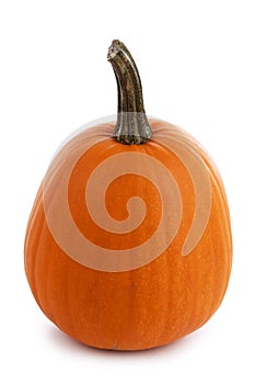 One orange pumpkin