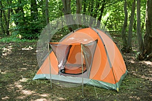 One orange tent in the wood