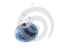 One Organic Blueberry sinking into water with air bubbles white background. Copy space on right