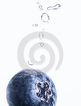 One Organic Blueberry sinking into water with air bubbles white background. Macro detailed closeup