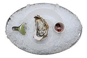 One oyster on ice