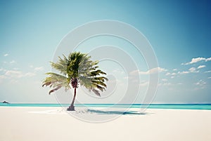 One palm on a empty white beach. Idyllic tropical seascape. Paradise beach. Generative AI