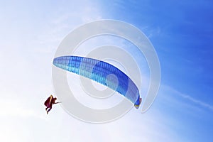 Paraglider with blue wing flying in blue sky