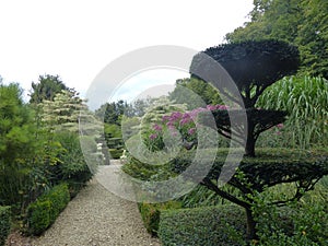 Castillon garden with bushes like sculptures in Normandy in France.
