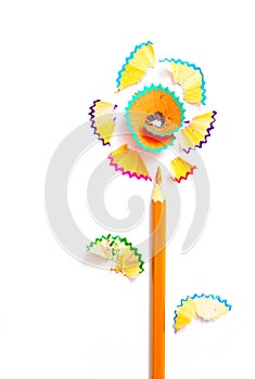 One pencil flower