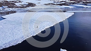 One penguin stands on a white iceberg in the ocean.