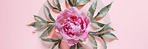 One peony flower in full bloom vibrant pink color and leaves  on pale pink background. flat lay, top view. banner.