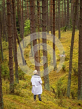 One person launching a drone in a deep pine forest between tree trunks in a ravine