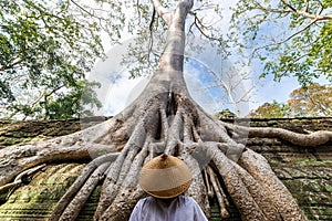 One person looking at Ta Prohm famous jungle tree roots embracing Angkor temples, revenge of nature against human buildings,