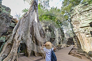 One person looking at Ta Prohm famous jungle tree roots embracing Angkor temples, revenge of nature against human buildings,