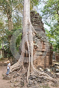 One person looking at Ta Prohm famous jungle tree roots embracing Angkor temples, revenge of nature against human buildings,