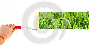 One person painting a landscape of a corn field on a white wall with a roller brush