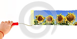 One person painting a landscape winth sunflowers on a white wall with a roller brush