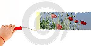 One person painting poppies on a white wall with a roller brush