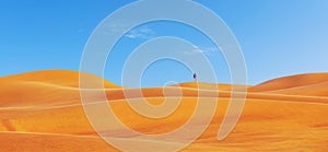 One person on top of beautiful red desert dunes. Tourist exploring alone desert in Dubai â€“ Discover Earth concept panorama â€“