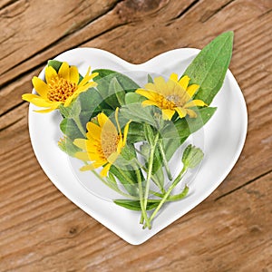 Homeopathy and cooking with arnica photo