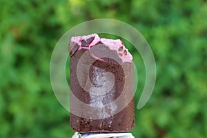 One piece of cold pink ice cream in brown chocolate on the street