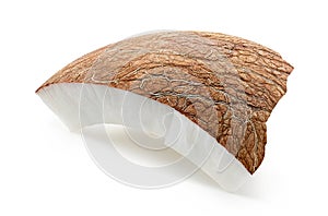 One piece of fresh ripe coconut on white background