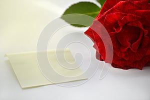 One piece of paper next to it is a red rose. Place for text and greetings. Romantic card. Gentle, beautiful background.