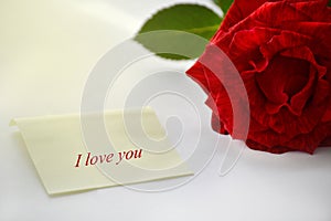 One piece of paper next to it is a red rose. Place for text and greetings. Romantic card. Gentle, beautiful background.