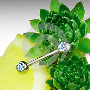 One piercing jewelry on succulents