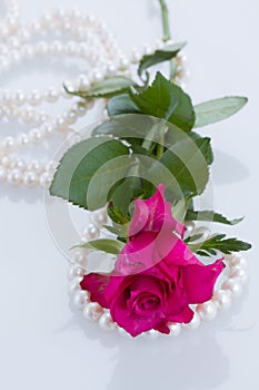 One pink rose with pearls