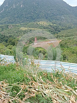 one of the plantations in Indonesia