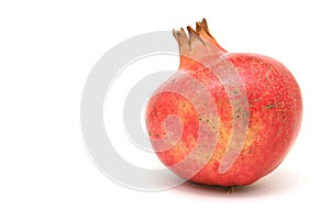 One pomegranate