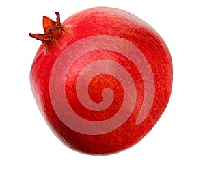 one pomegranate fruit isolated on a white background