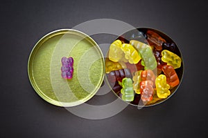 One purple gummy bear lies on a lid of a metal candy box apart from the group of other bears in the box. Discrimination concept