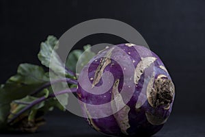 One purple kohlrabi on a black background Still life Dark food photography