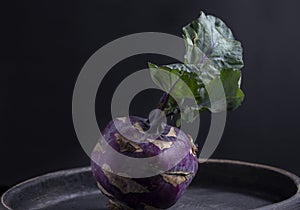 One purple kohlrabi on a black background Still life Dark food photography