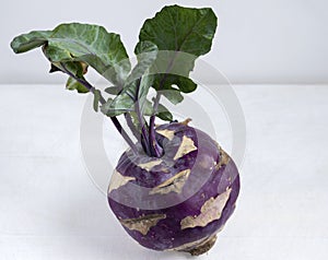 One purple kohlrabi on a white background Still life Dark food photography