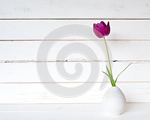 One Purple Spring Tulip in a Small Modern Light Gray Vase on a White Table and against distressed shiplap wood board background wi photo