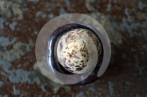 One quail egg centered, birds eye