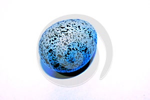 One quail egg. Isolated on a white background close-up. Tinted blue