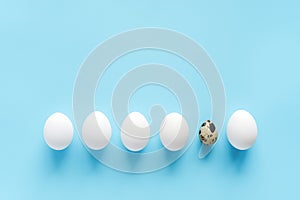 One quail egg among a row of white eggs on blue background with copy space. Happy easter or Not like everyone else concept.