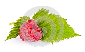 One Raspberry with leaf isolated on white