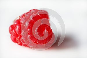 One raspberry on white background