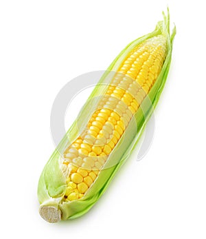 One raw corn cob isolated on white