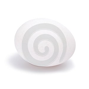 One raw white egg isolated on white background