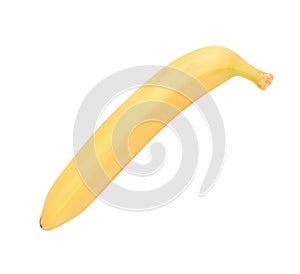 One raw Yellow Banana Isolated at dry sunny day