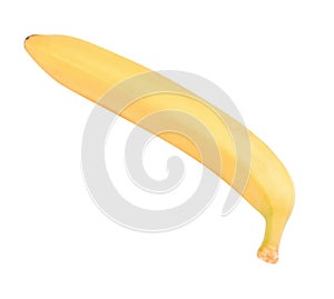 One raw Yellow Banana Isolated at dry sunny day