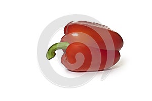 One red bell pepper isolated on a white background.