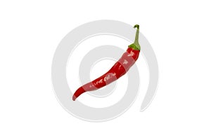 One red chile pepper close up, isolated